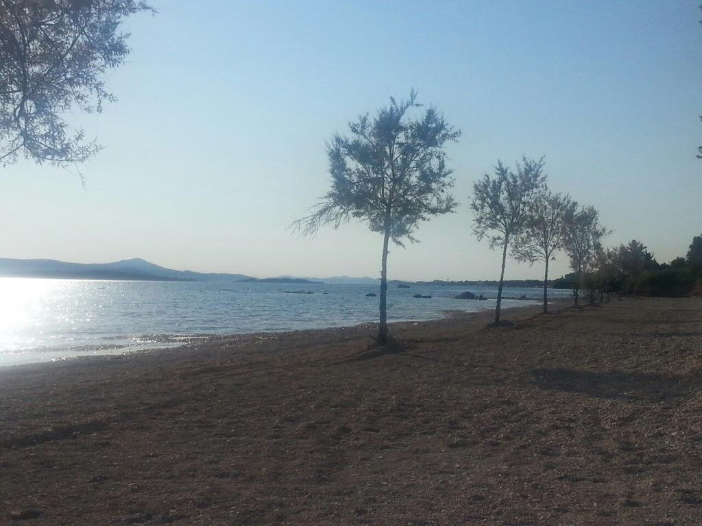 Family Apartment B&B Biograd Na Moru Exterior foto